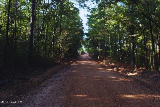 $57,000 | Mountain Road, McCool, MS 39108