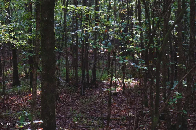 $57,000 | Mountain Road, McCool, MS 39108