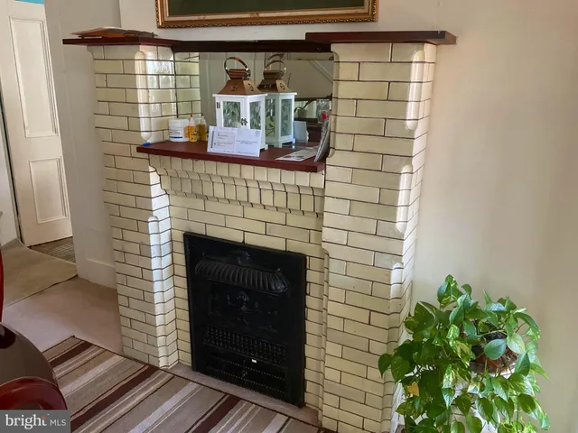 a room with fireplace and potted plant