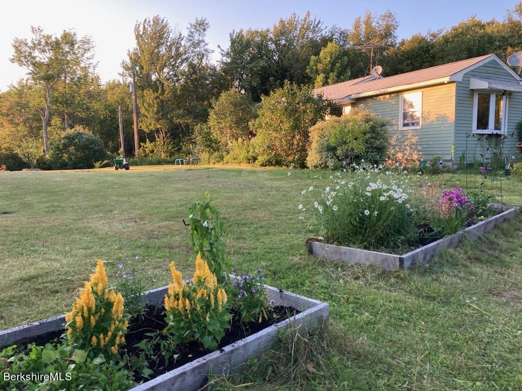 16 West Main Road Peru, MA 01235 - Photo 1 of 15 a view of a garden with plants and large trees