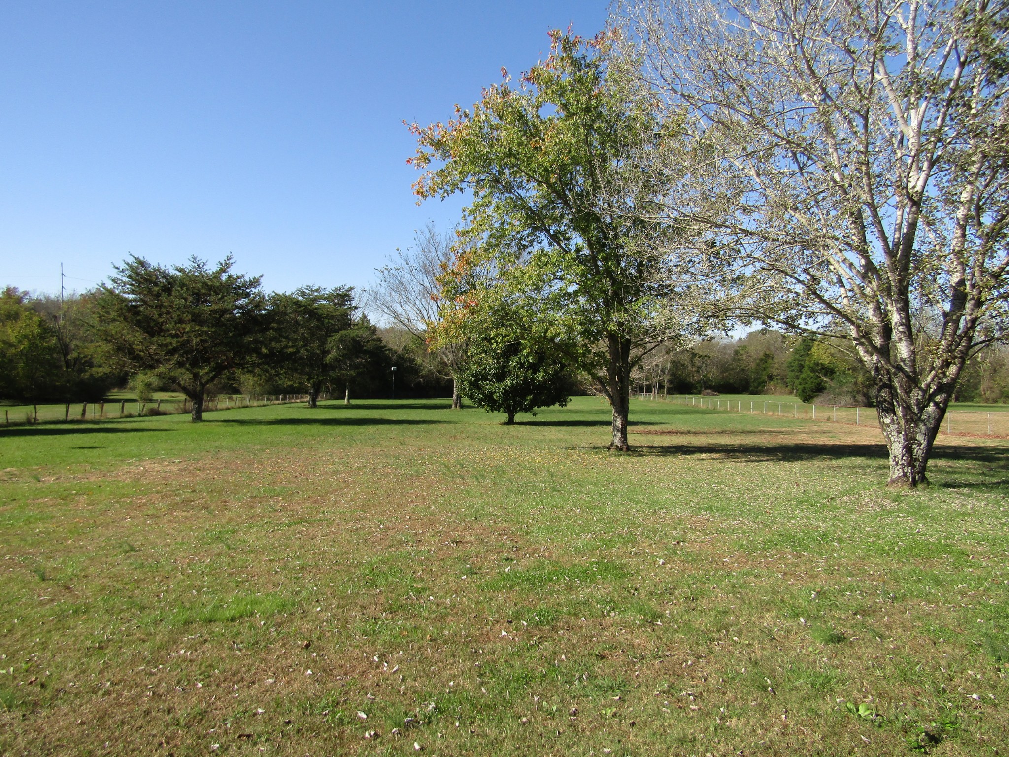 1373 Springplace Road Lewisburg, TN 37091 - Photo 6 of 16 Gallery Image 6