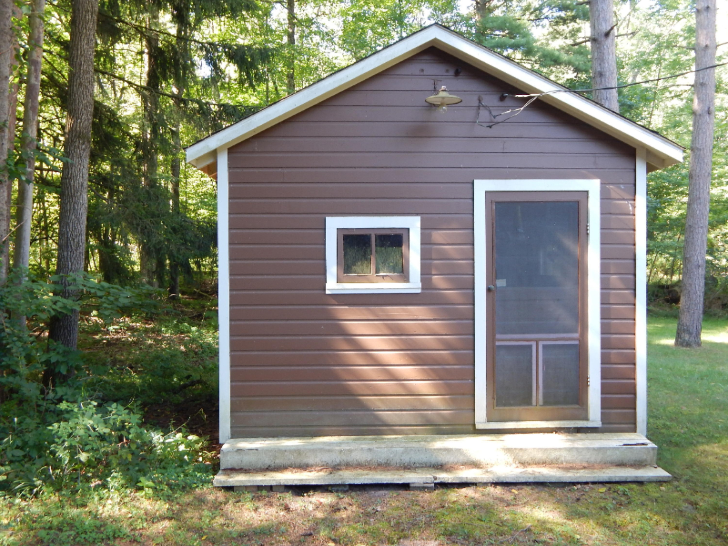 7312 West County Line Road Howard City, MI 49329 - Photo 13 of 50 DSCN3117