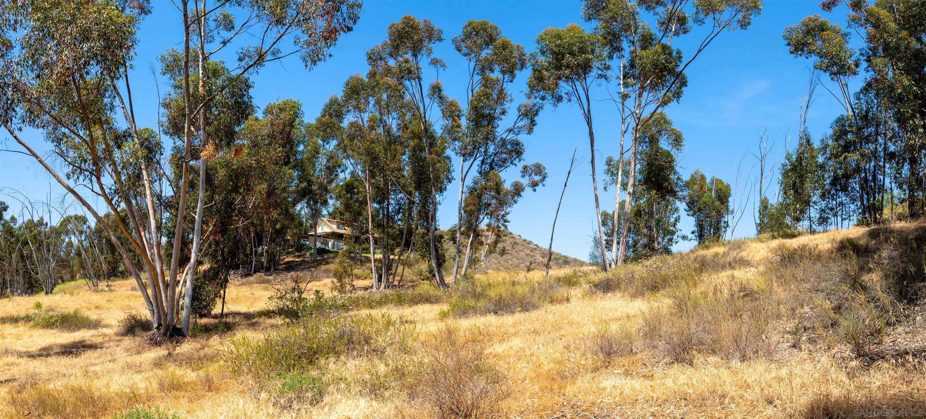 0 Ryan Way Escondido, CA 92026 - Photo 11 of 16 a view of a yard covered in snow