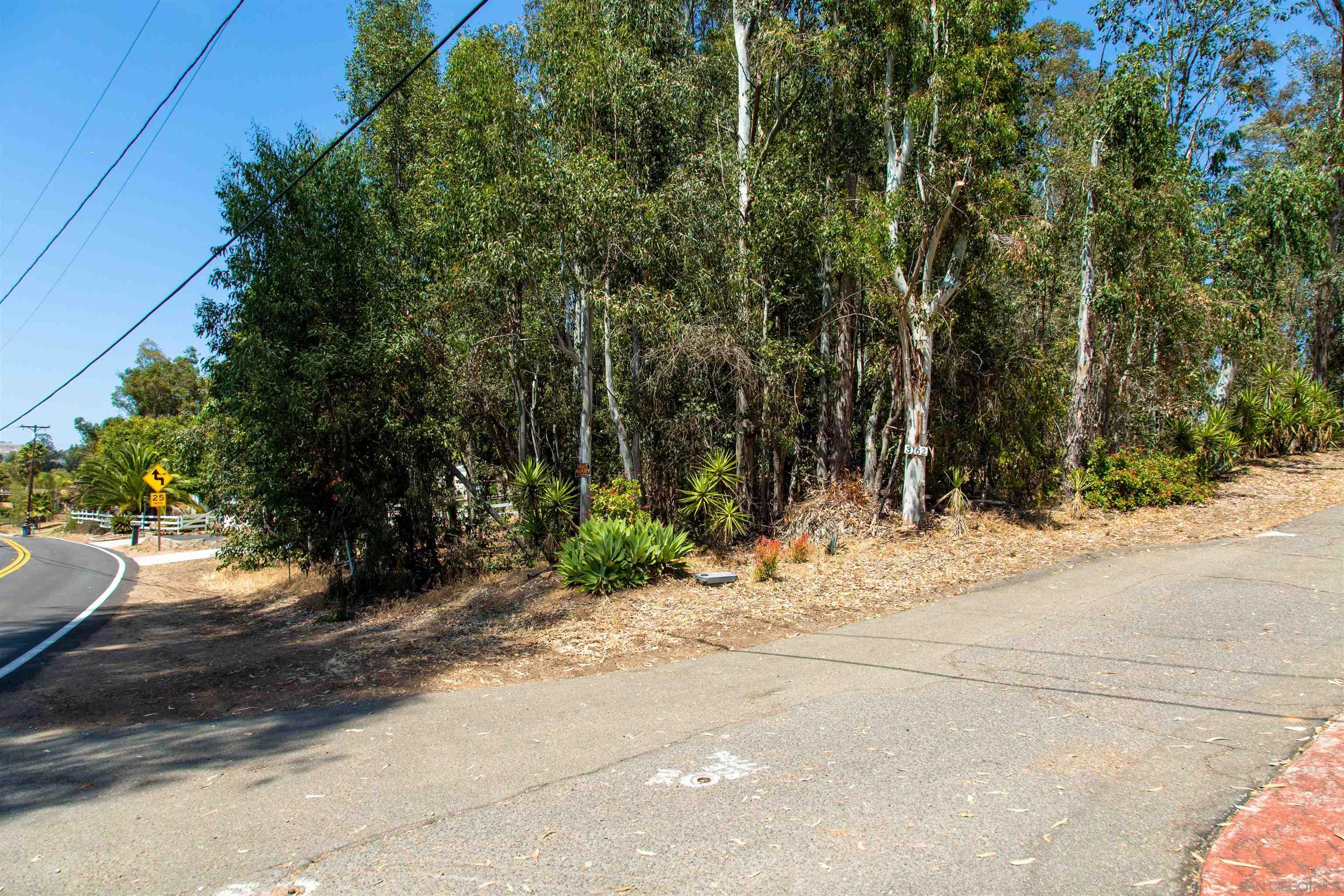 0 Ryan Way Escondido, CA 92026 - Photo 12 of 16 a view of road and trees