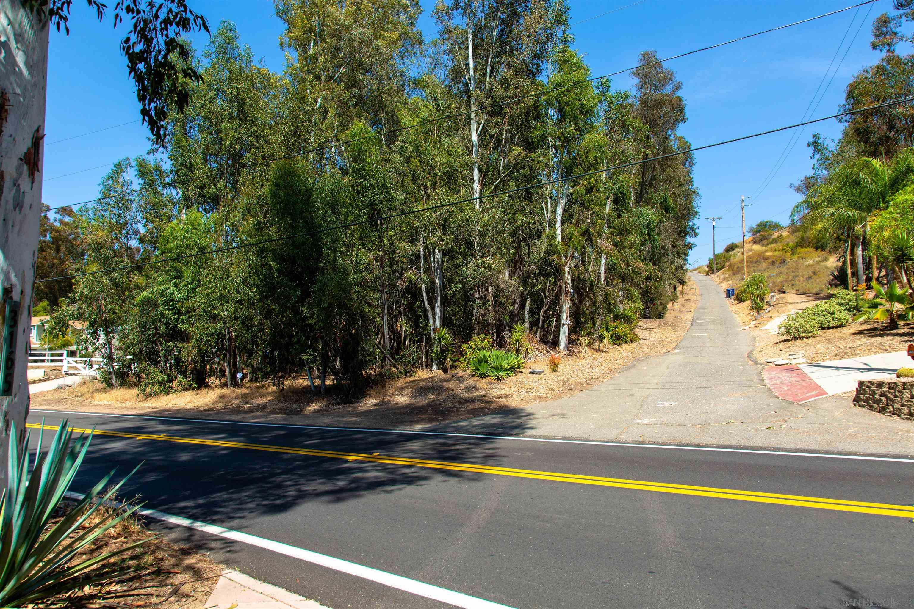 0 Ryan Way Escondido, CA 92026 - Photo 5 of 16 a view of a yard with plants