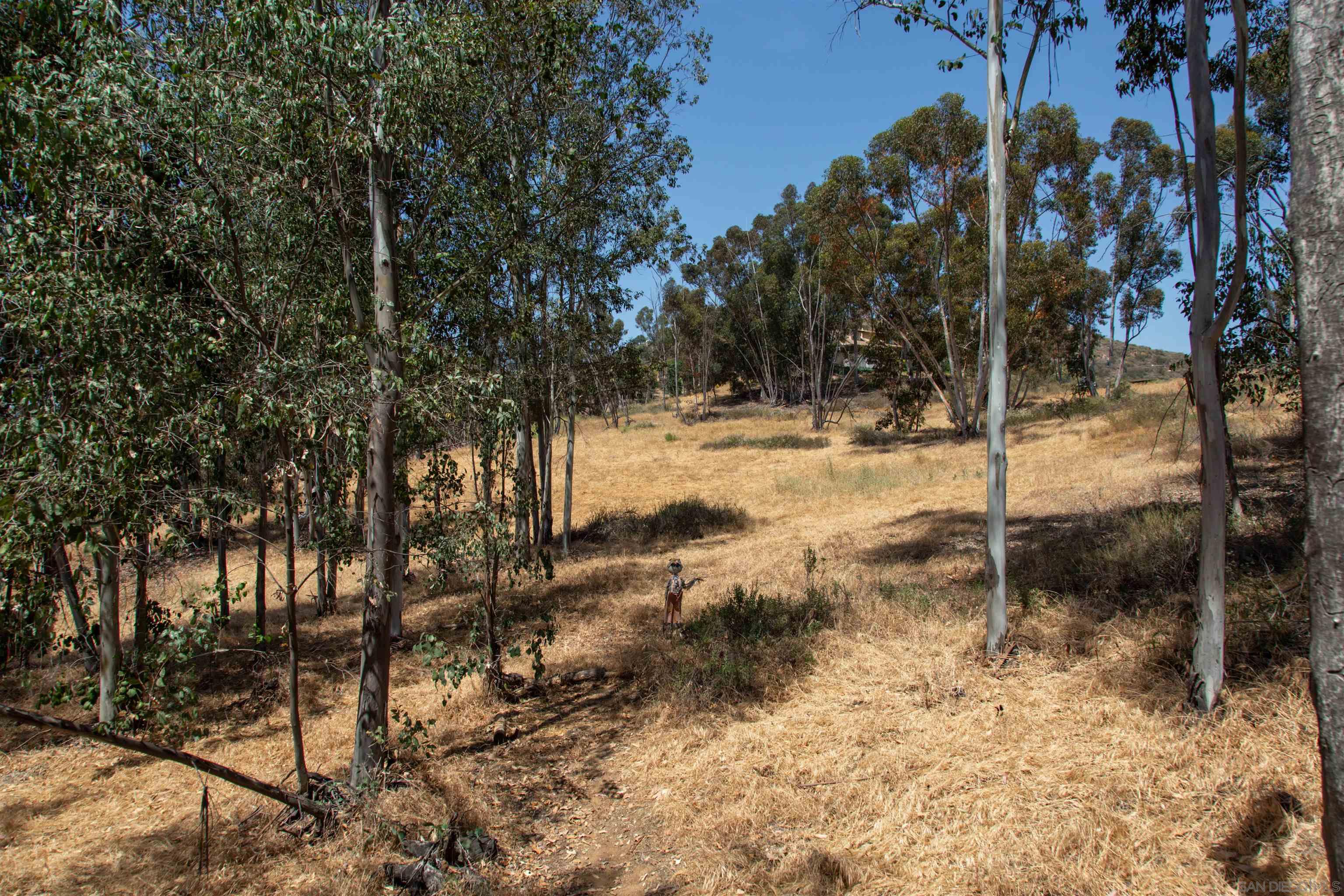 0 Ryan Way Escondido, CA 92026 - Photo 6 of 16 a view of a yard of the house