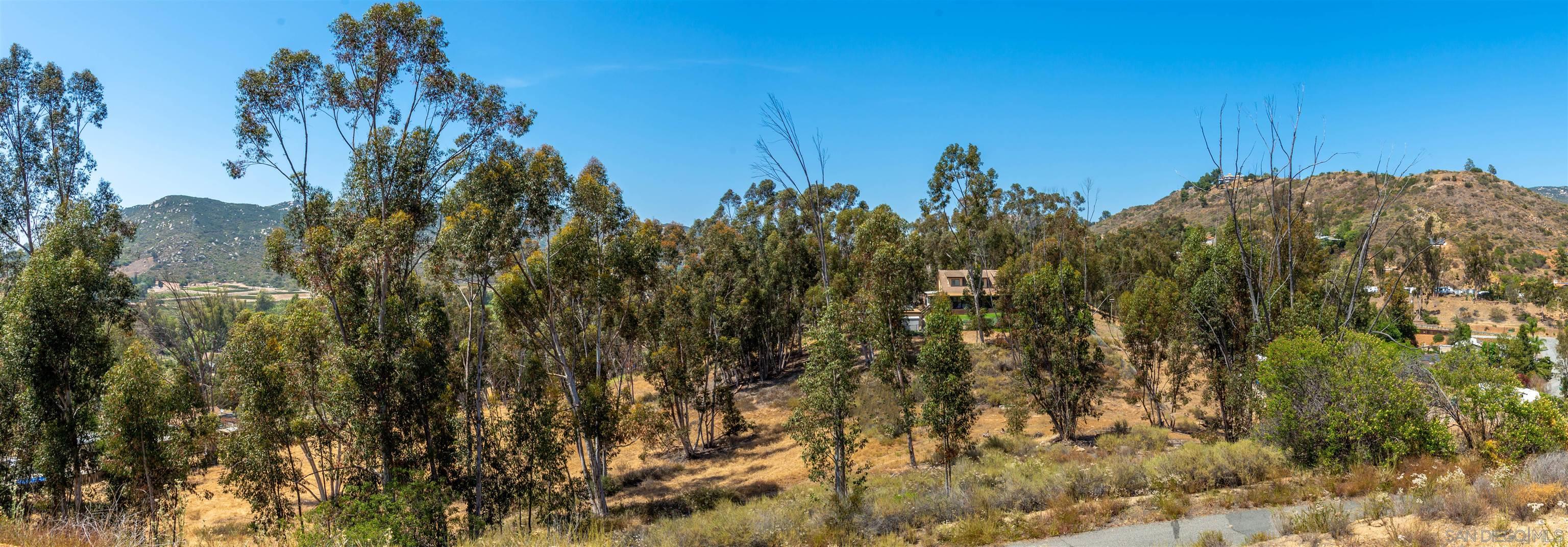 0 Ryan Way Escondido, CA 92026 - Photo 10 of 16 a view of a bunch of trees