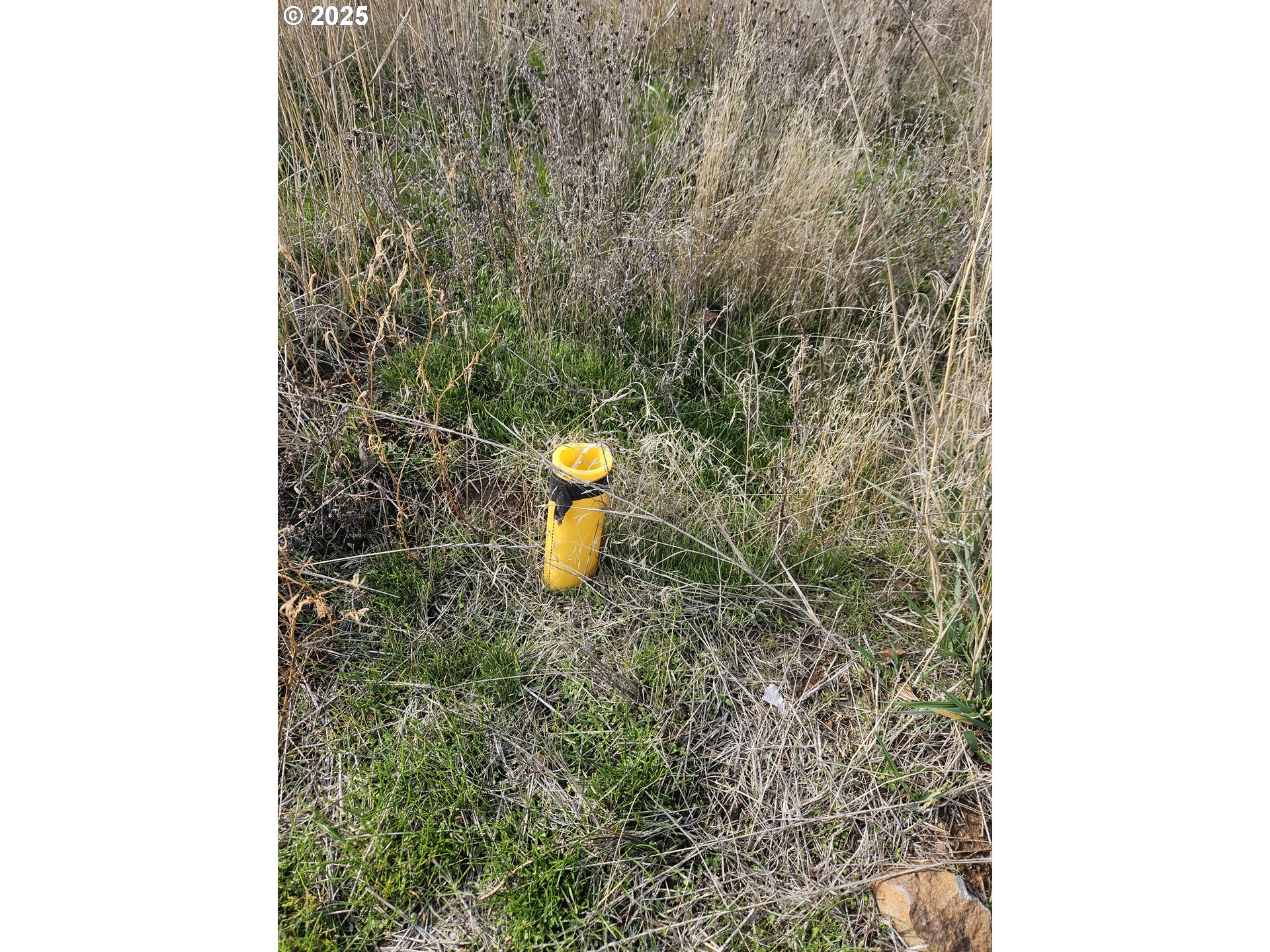 4 Kenny Court Goldendale, WA 98620 - Photo 4 of 11