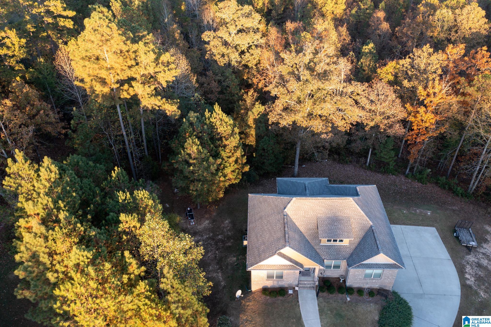 247 Kingbird Lane Remlap, AL 35133 - Photo 35 of 36
