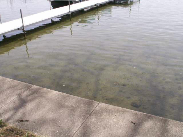 3925 West Sycamore Beach Road Angola, IN 46703 - Photo 6 of 26 Gallery Image 6