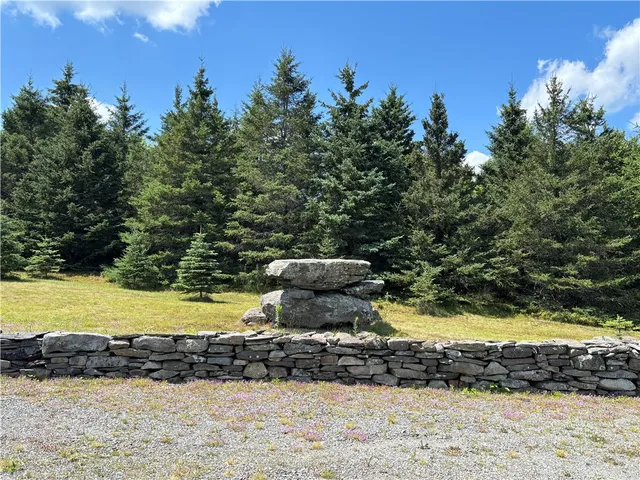 $560,000 | 187 Mt Jefferson Road, Jefferson, NY 12093