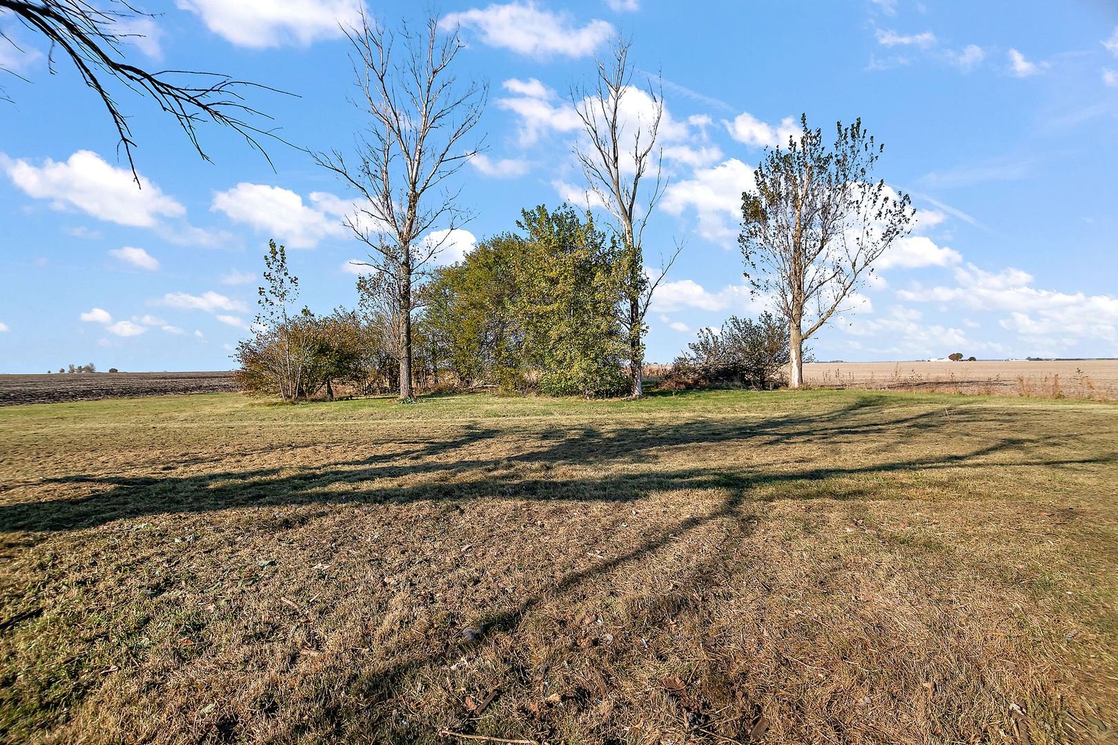 2773 North 900 East Road Ashkum, IL 60911 - Photo 29 of 30 a view of a yard with an ocean view