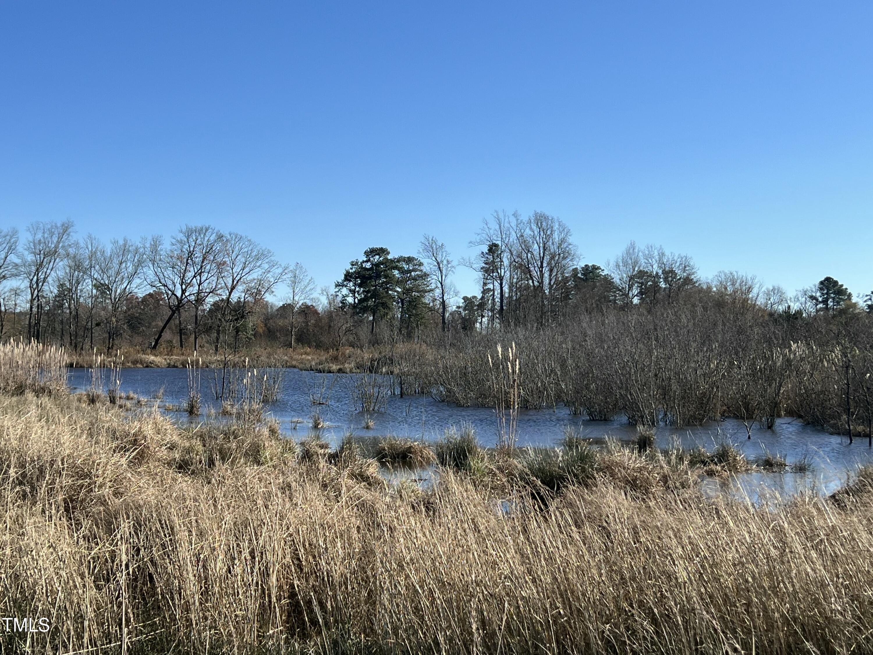 6796 Fire Tower Road Bailey, NC 27807 - Photo 1 of 2 Picture of the small pond