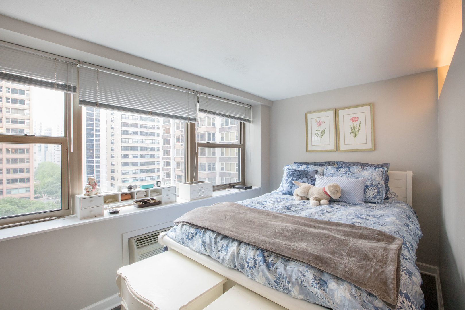 253 East Delaware Place, Unit 9H Chicago, IL 60611 - Photo 9 of 10
