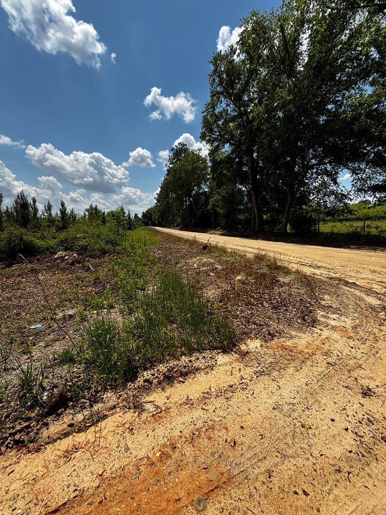 211 Granger Road Gordon, AL 36343 - Photo 26 of 29 About 1/2 Mile of Dirt Road Before Reaching Privat