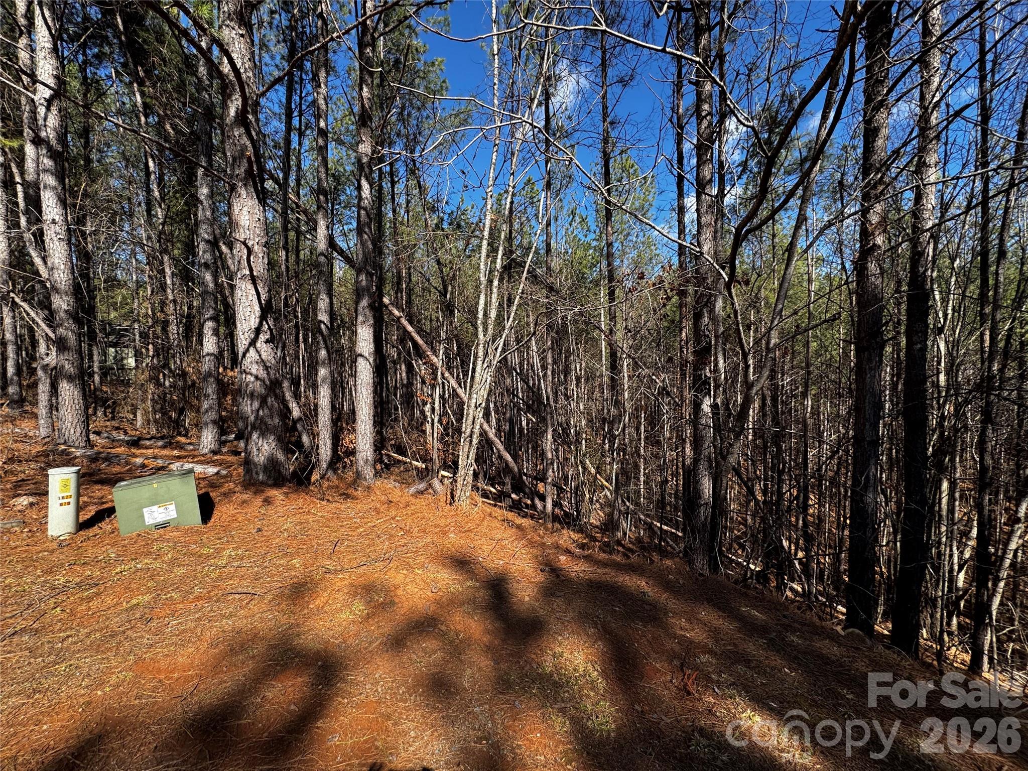 5 Geebees Way Mill Spring Mill Spring, NC 28756 - Photo 13 of 14