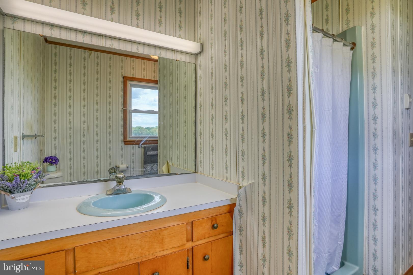5205 Vernon Road Harrington, DE 19952 - Photo 29 of 42 main bath