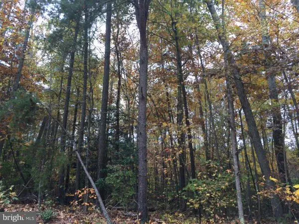 $60,000 | 214 Norfolk Drive, Ruther Glen, VA 22546