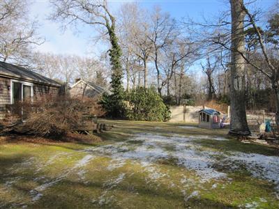 10 Crowell Road Sandwich, MA 02563 - Photo 8 of 13 a view of a yard with plants and trees