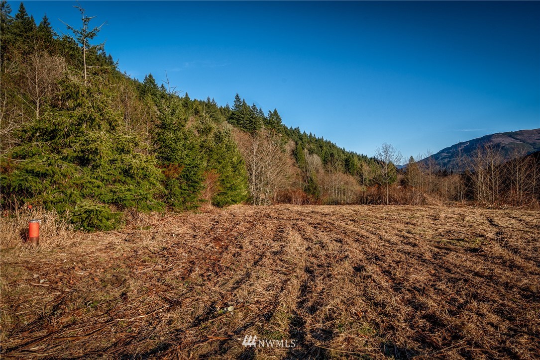 4429 Park Road Sedro-Woolley, WA 98284 - Photo 16 of 23 Gallery Image 16