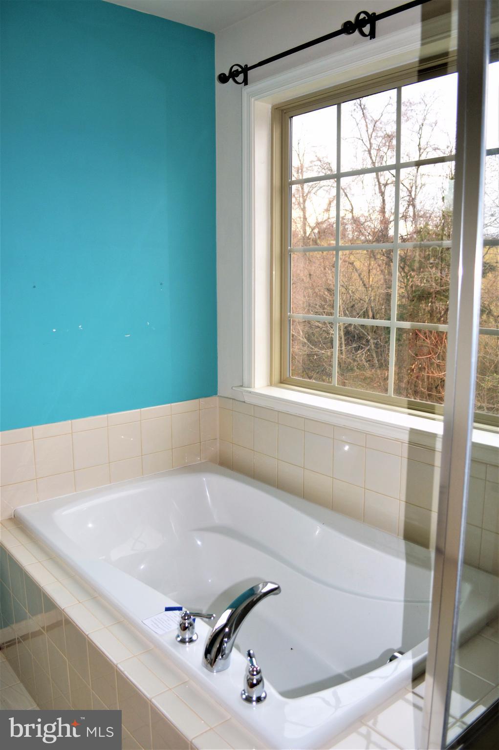 805 Kingsbrook Road Culpeper, VA 22701 - Photo 14 of 23 Bath (Master)