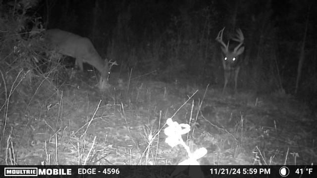 250 Adams Mill Road Clayton, AL 36016 - Photo 74 of 74