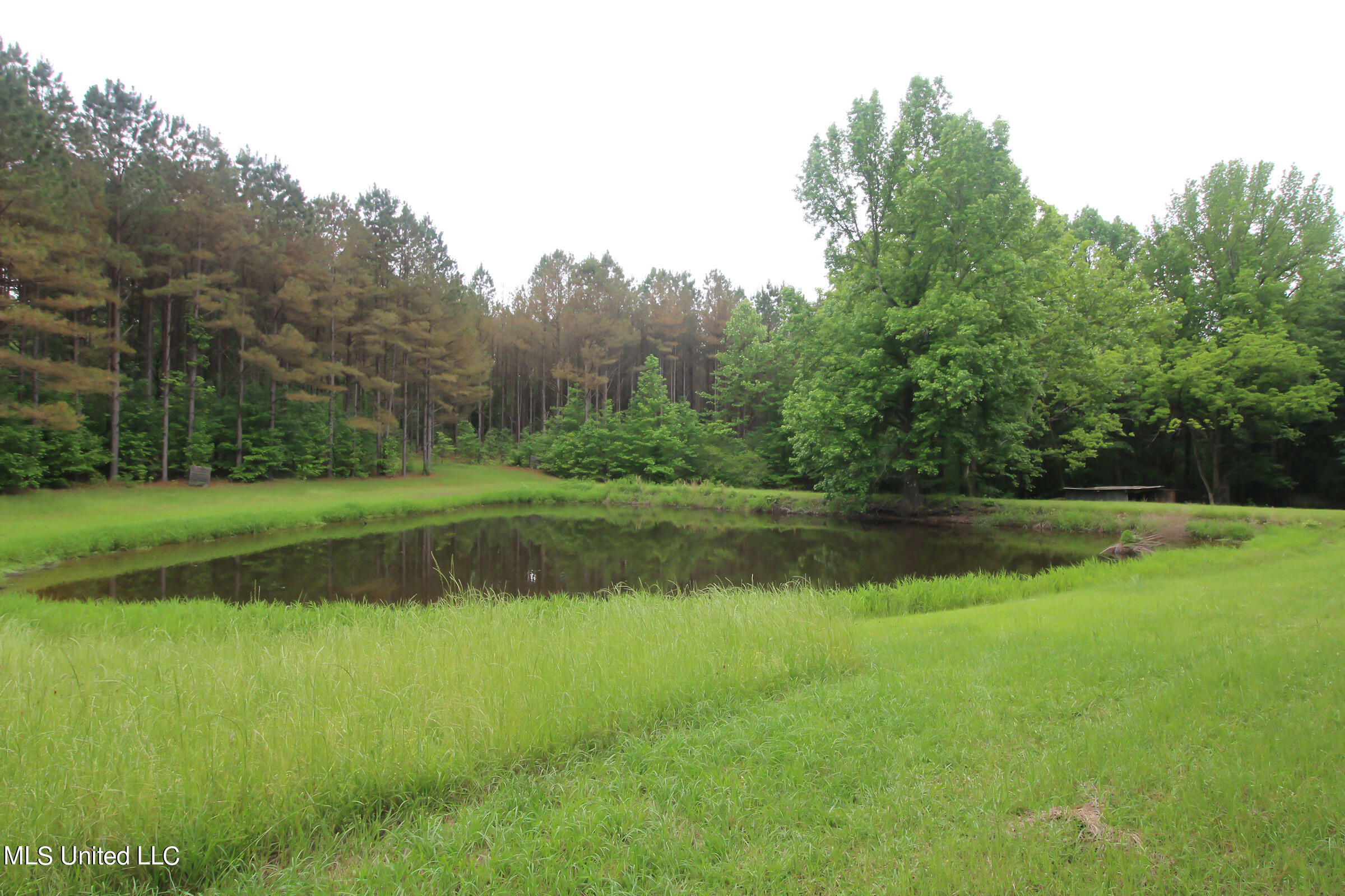 1275 Kennebrew Road Jackson, MS 39209 - Photo 26 of 29 IMG_7342 copy