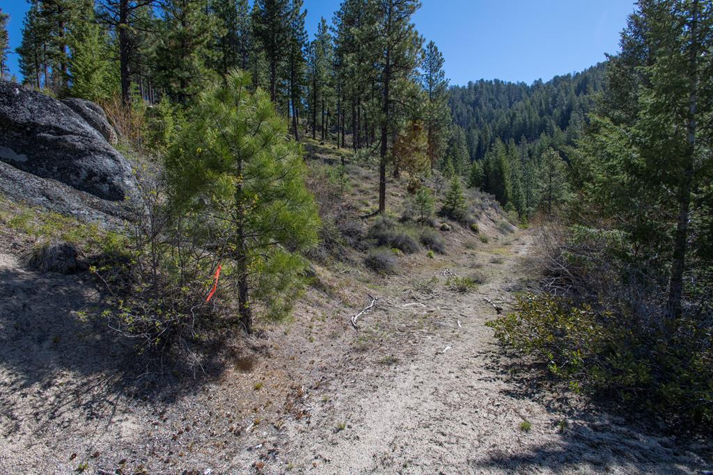 1 Clear Creek Road Cascade, ID 83611 - Photo 8 of 10