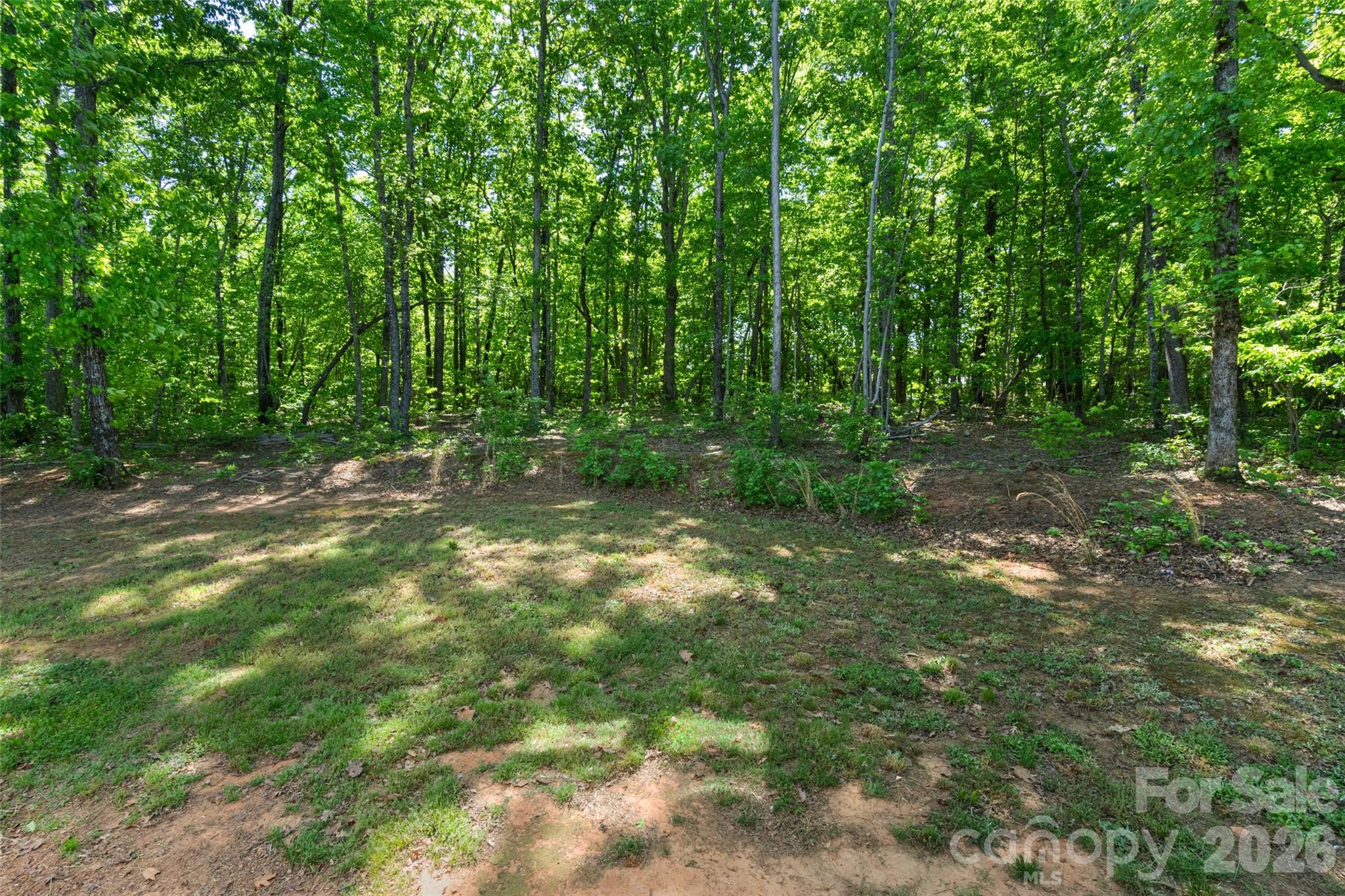 3690 Innes Lane Maiden, NC 28650 - Photo 32 of 34