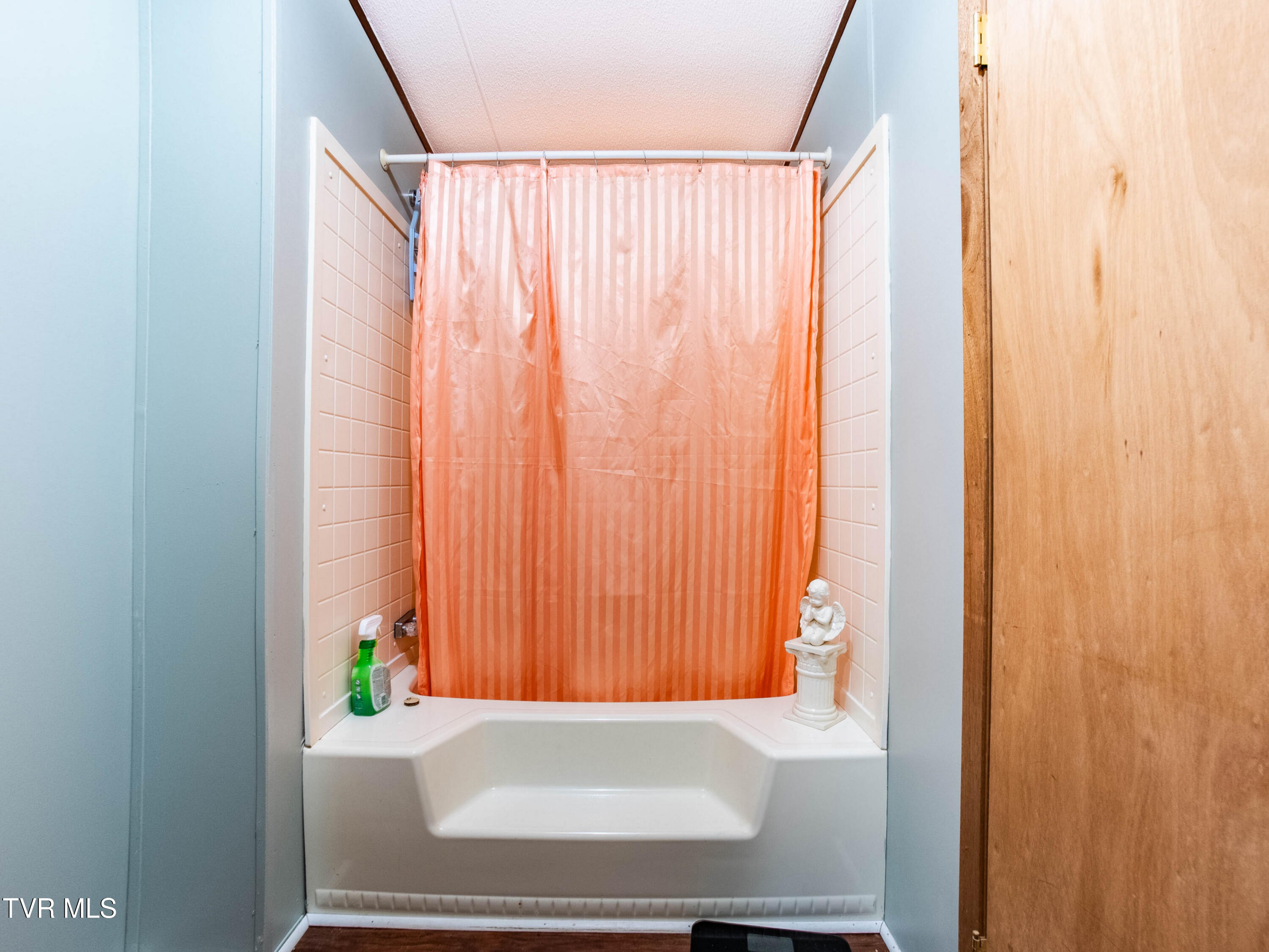 115 Hammond Road Rogersville, TN 37857 - Photo 16 of 21 P1299365-HDR