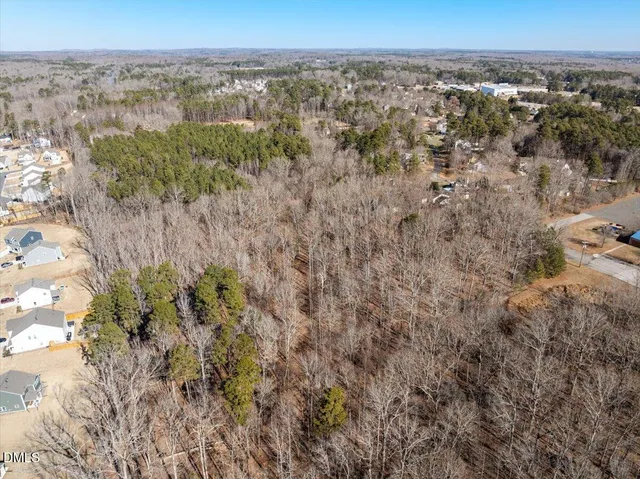 a view of a dry yard