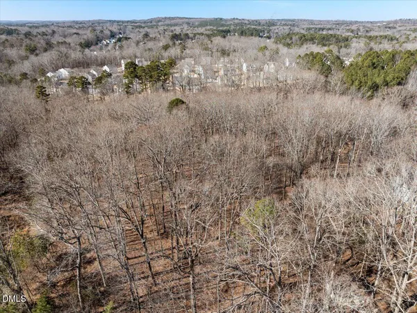 a picture of trees