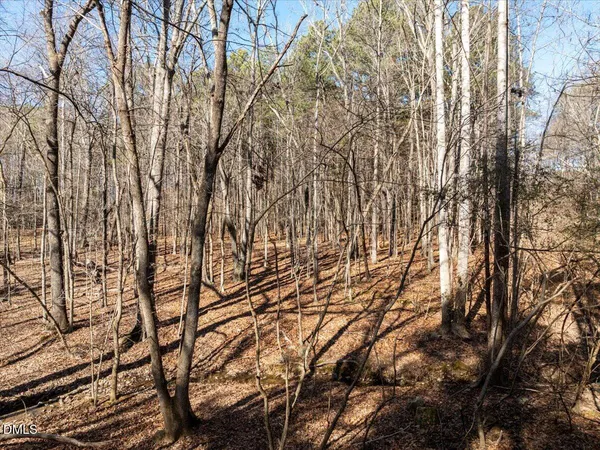 a picture of trees