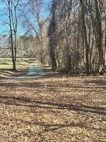 a view of dirt yard with large trees