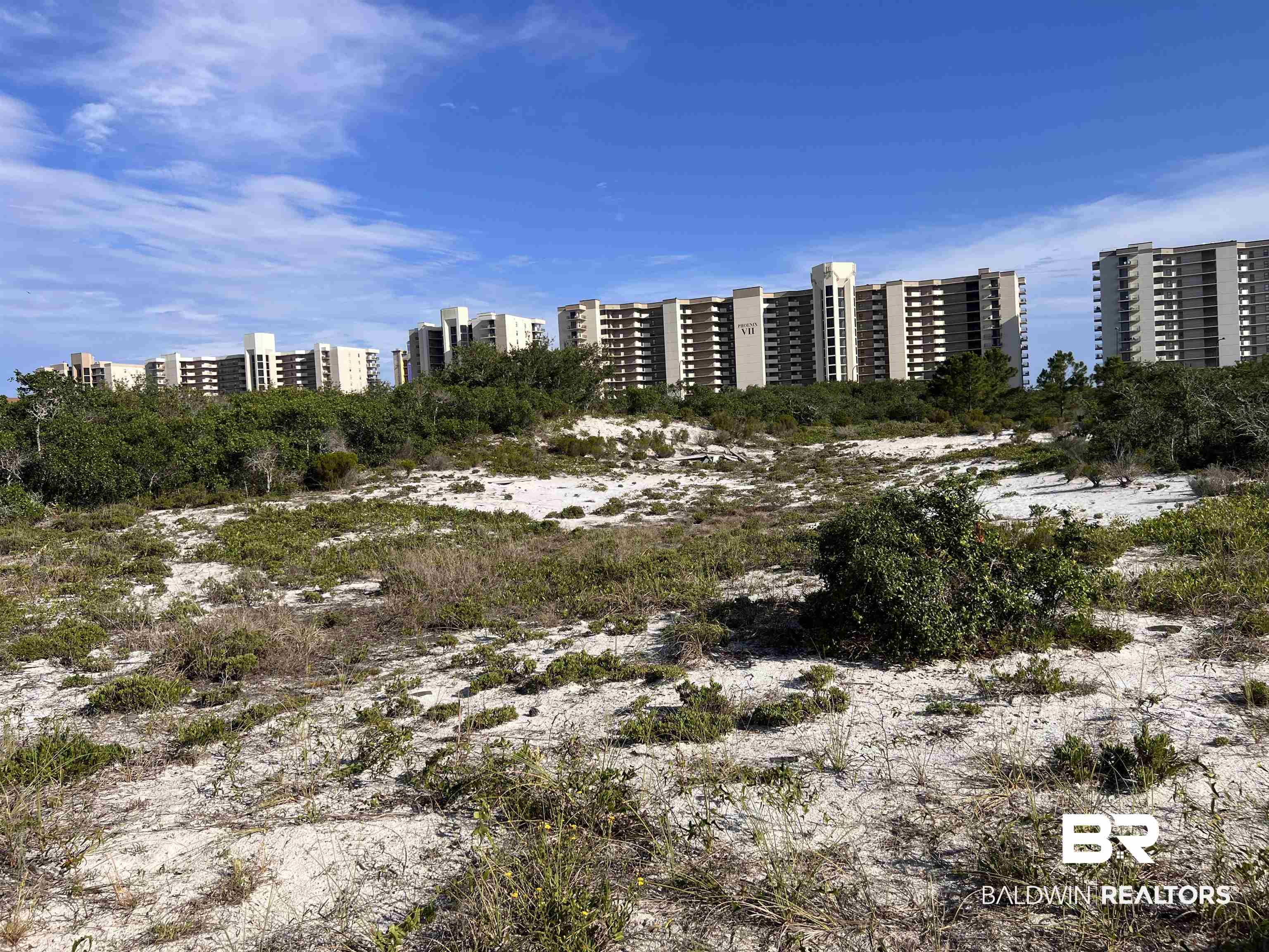 26855 Perdido Beach Boulevard Orange Beach, AL 36561 - Photo 8 of 17