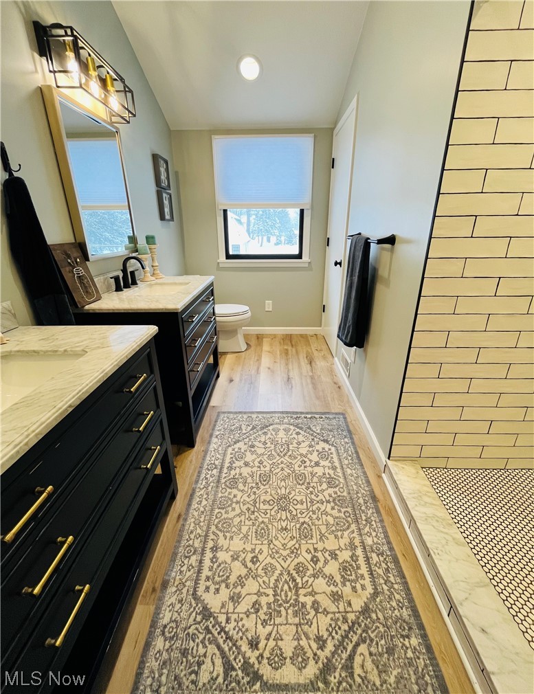 13655 Spring Street Burton, OH 44021 - Photo 44 of 48 Bathroom with vanity, vaulted ceiling, toilet, and hardwood / wood-style flooring