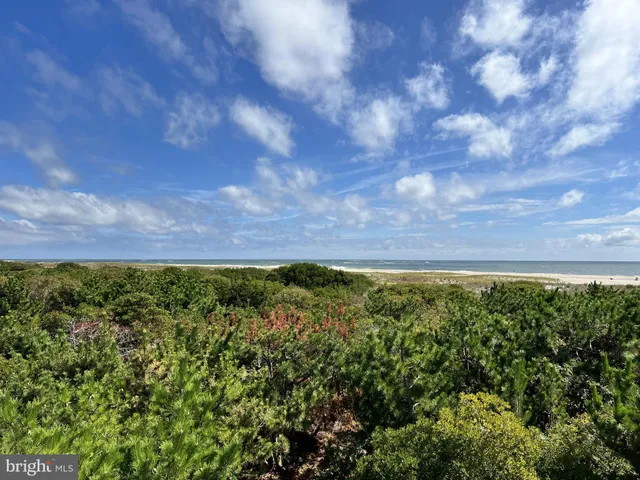 a view of a yard with an outdoor space