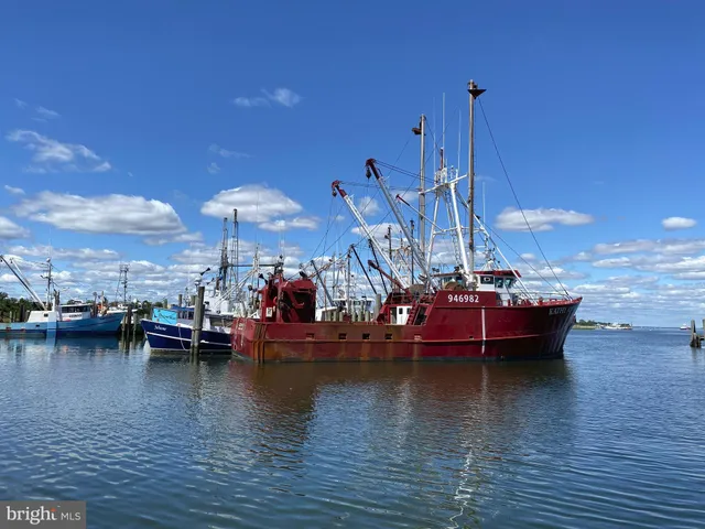 a view of a lake with boats and palm trees