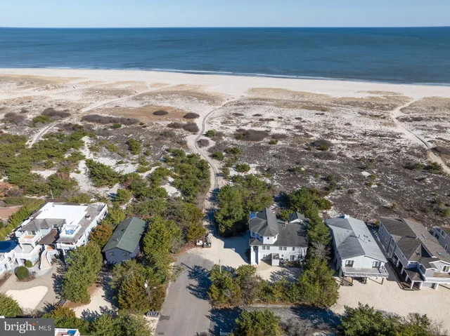 an aerial view of ocean and trees