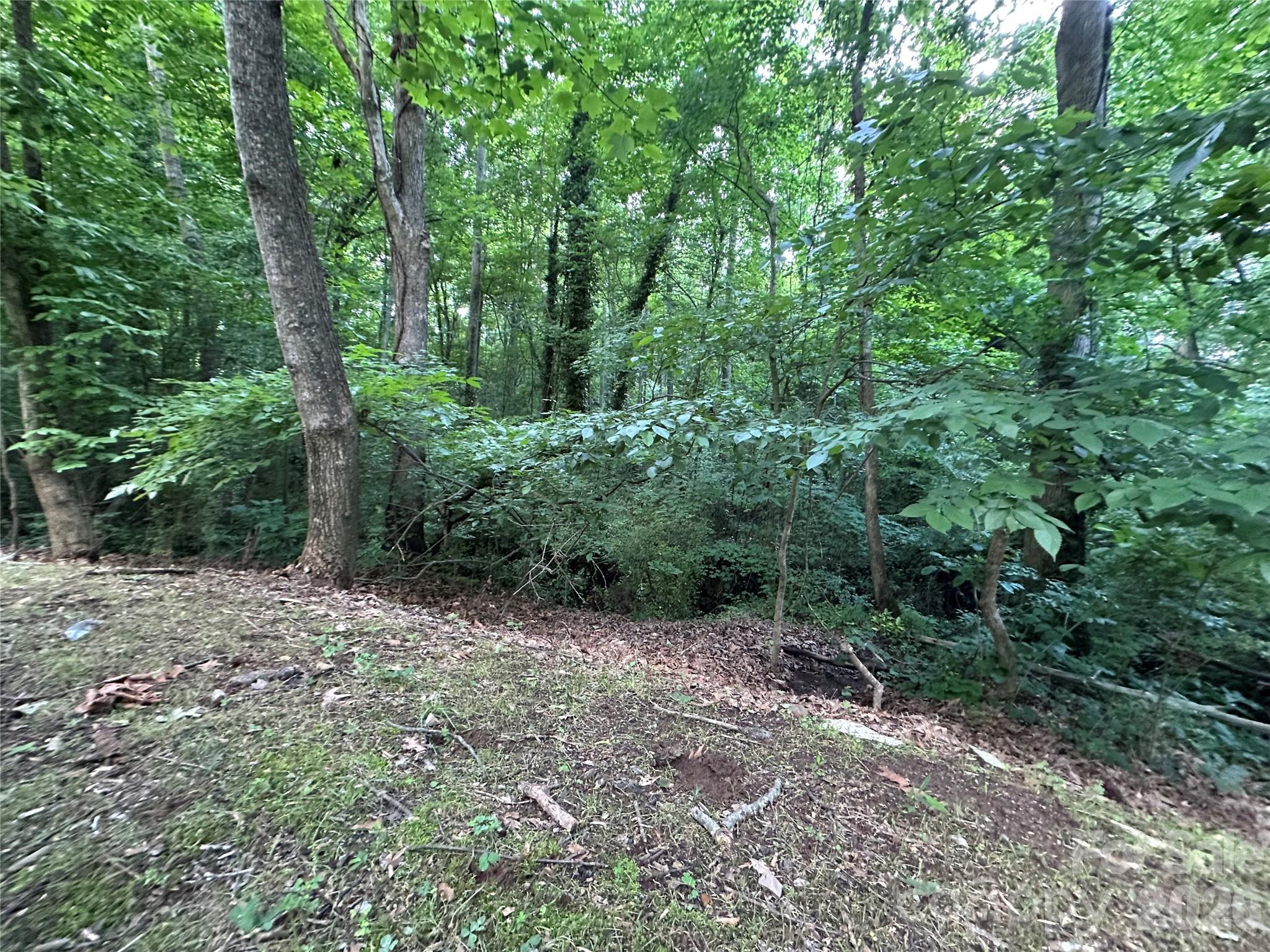 0 Briarcliff Road Rockwell, NC 28138 - Photo 23 of 25