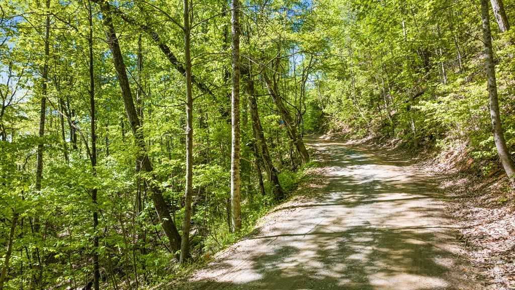Lot 18 Cub Trail Cherry Log, GA 30522 - Photo 3 of 17