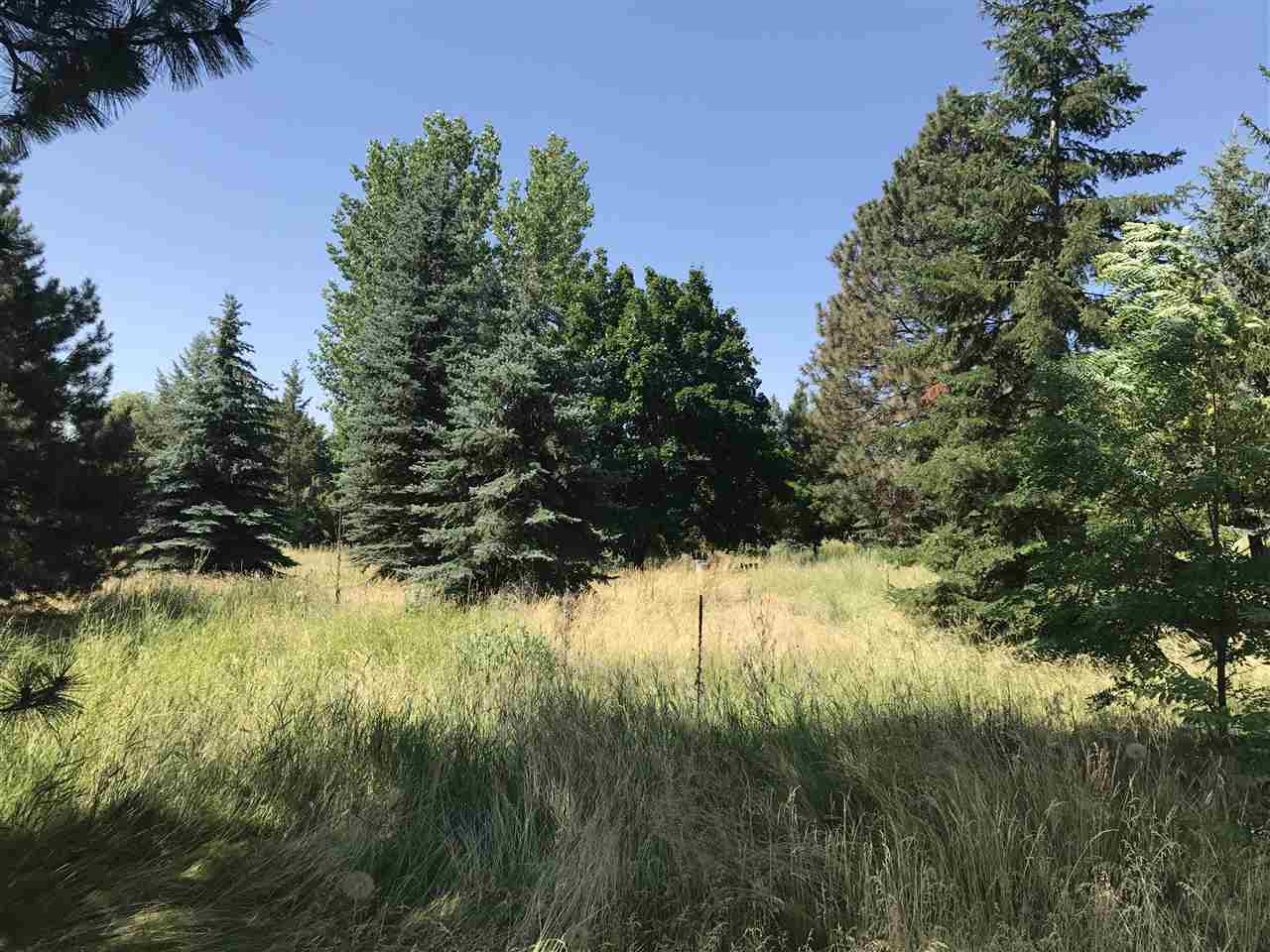 14002 South Salnave Road Cheney, WA 99004 - Photo 1 of 4