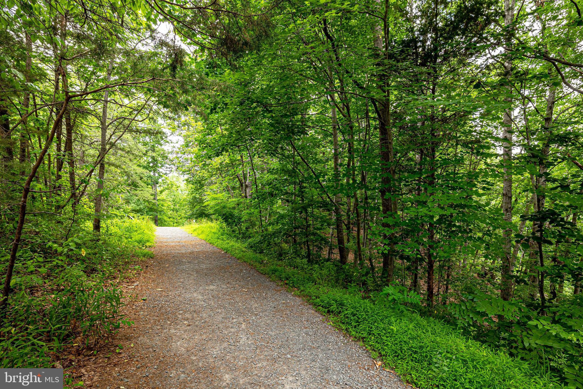 11962 Sentinel Point Court Reston, VA 20191 - Photo 59 of 62 Great walking trails just steps away.