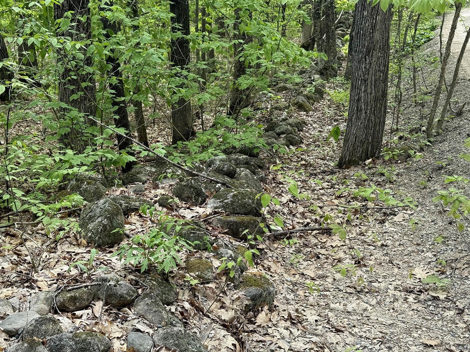 2 Youngs Road Ossipee, NH 03864 - Photo 20 of 27