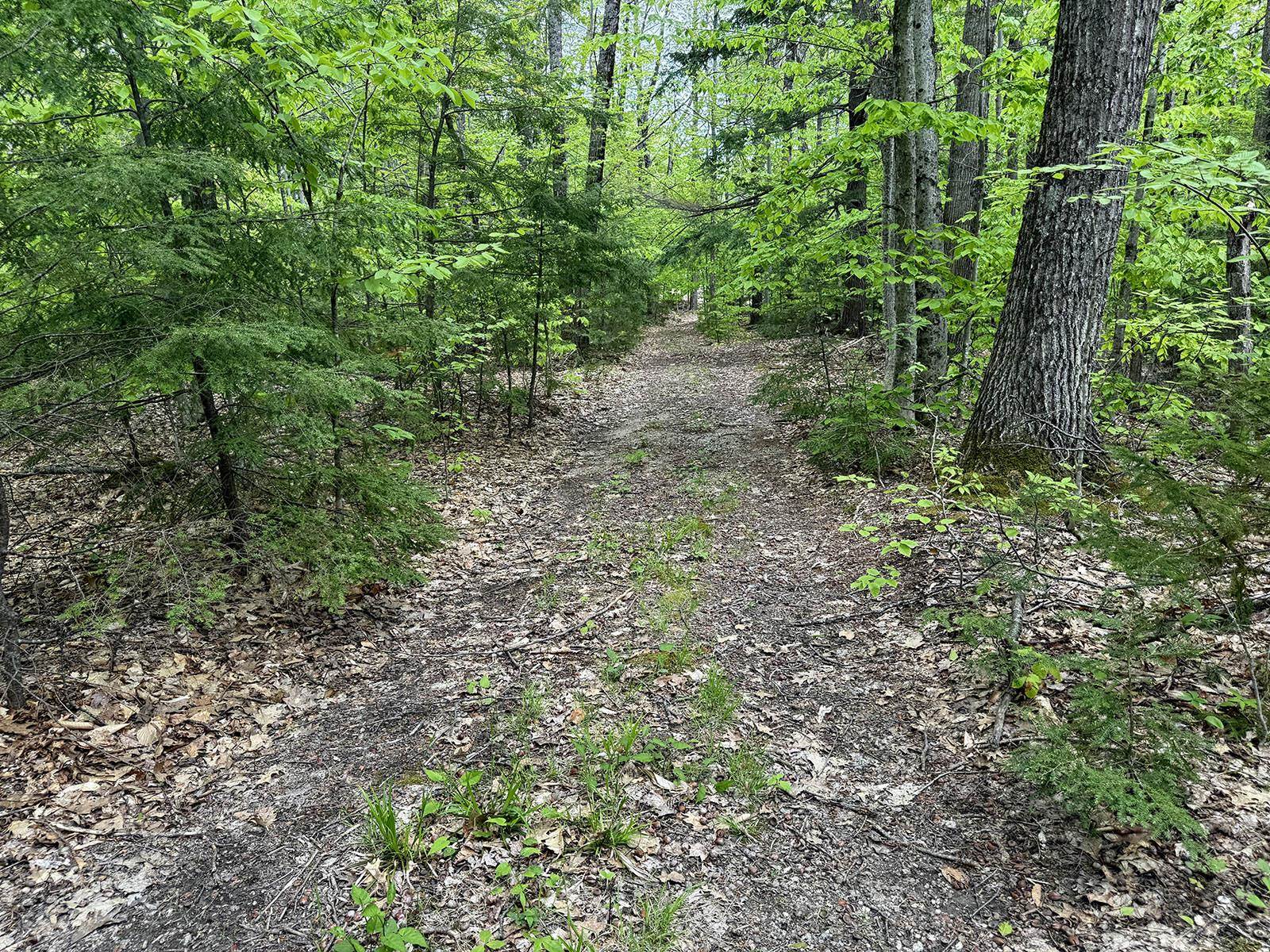 2 Youngs Road Ossipee, NH 03864 - Photo 22 of 27