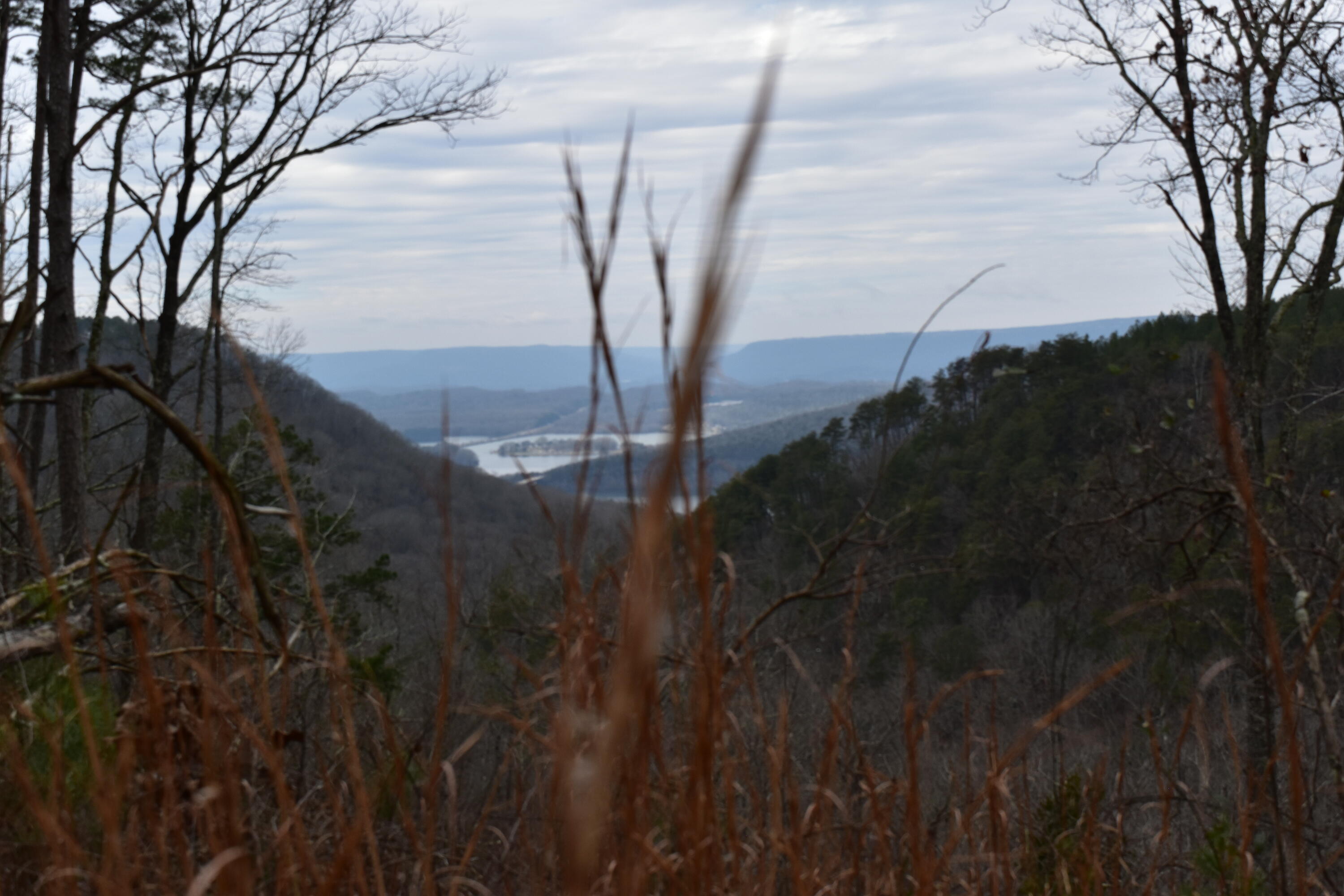 1075 Birds Eye Way, Unit LOT 1075 Guild, TN 37340 - Photo 12 of 33 DSC_0021