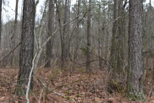 $849,900 | 1075 Birds Eye Way, Unit LOT 1075, Guild, TN 37340