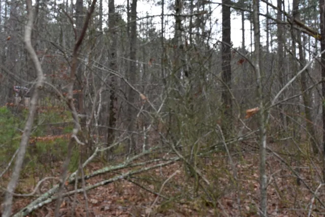 $849,900 | 1075 Birds Eye Way, Unit LOT 1075, Guild, TN 37340