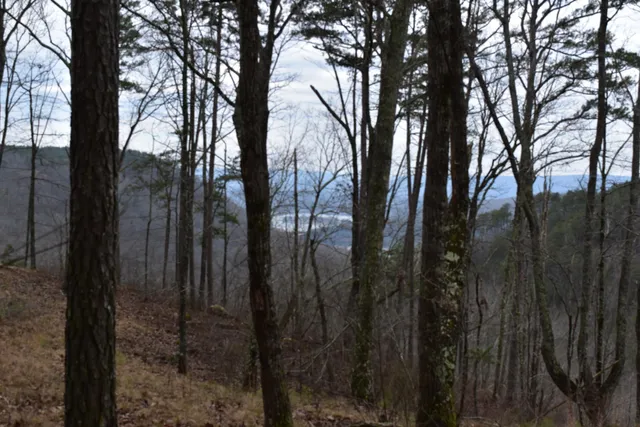 $849,900 | 1075 Birds Eye Way, Unit LOT 1075, Guild, TN 37340