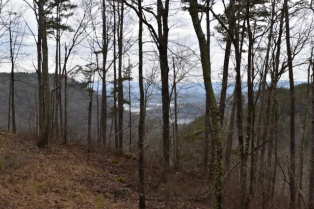 $849,900 | 1075 Birds Eye Way, Unit LOT 1075, Guild, TN 37340